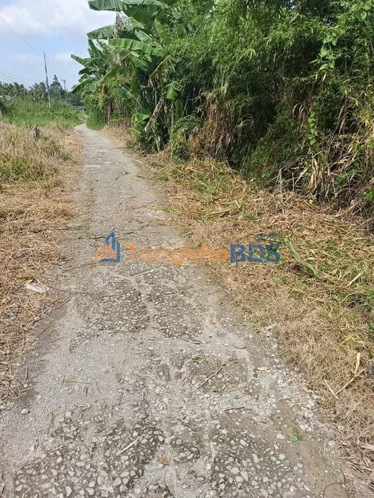 Đất Nền Thới Lai Cần Thơ - 98m² - Giá Tốt Nhất Thị Trường