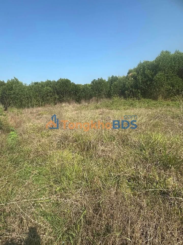 Đất nền Tà Lài 1.440m² 430 triệu - Sổ đỏ chính chủ