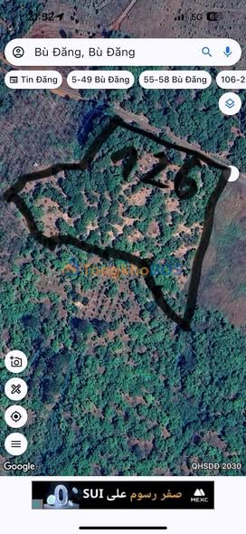 Đất nền Bù Đăng 25ha 3,8 tỷ - Sổ đỏ chính chủ
