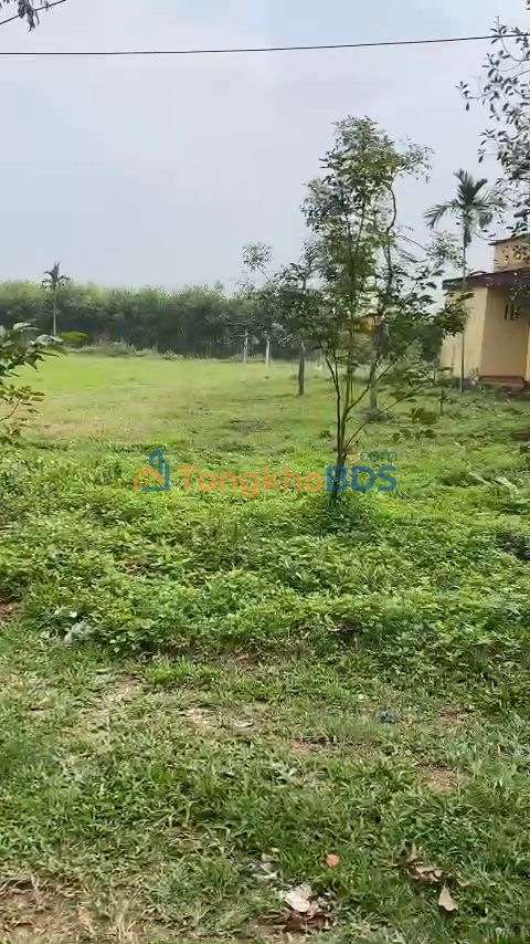 Đất nền Đại Hóa 125m² 1 tỷ - Sổ đỏ chính chủ