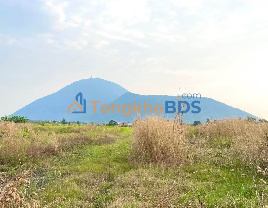 Đất nền Thạnh Tân Tây Ninh 540m² 250 triệu - Sổ đỏ chính chủ