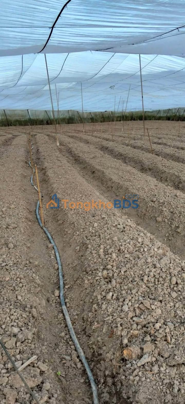 Đất nền Tu Tra 2.600m² giá 3,97 tỷ - Đường to ô tô