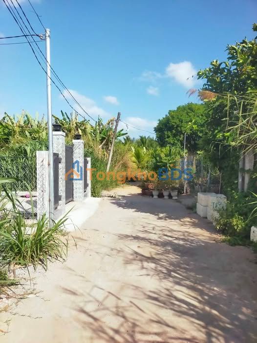 Đất nền An Hội Vĩnh Long 100m² 230 triệu - Pháp lý rõ ràng