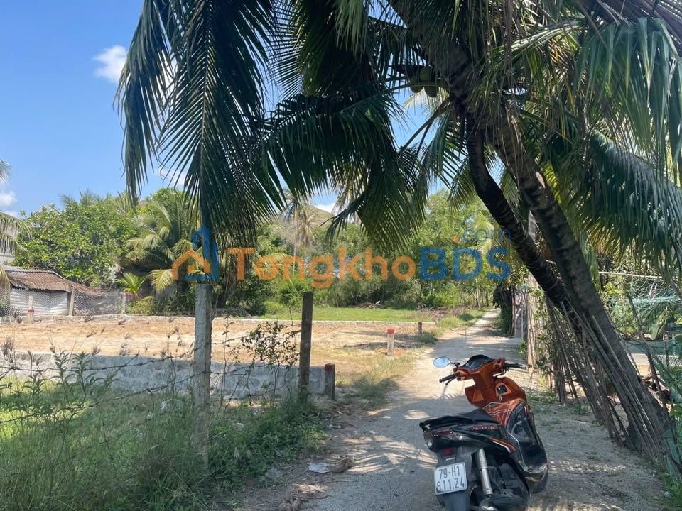 Đất Vạn Hưng 99m² 550 triệu - Sổ đỏ chính chủ, đường 7m