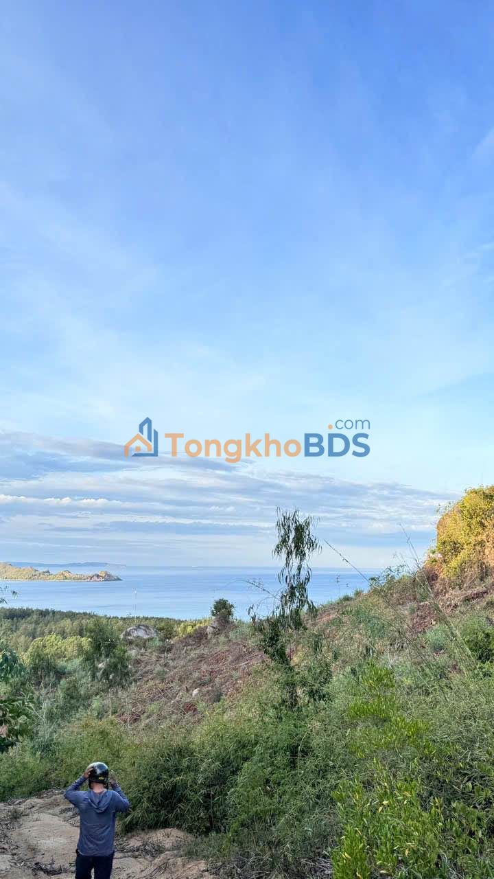 Đất vườn Phú Dương Sông Cầu 5ha - Sinh thái xanh