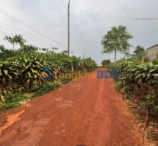 Đất nền Lộc Ngãi 1.3ha 470tr - Hạ tầng hoàn thiện