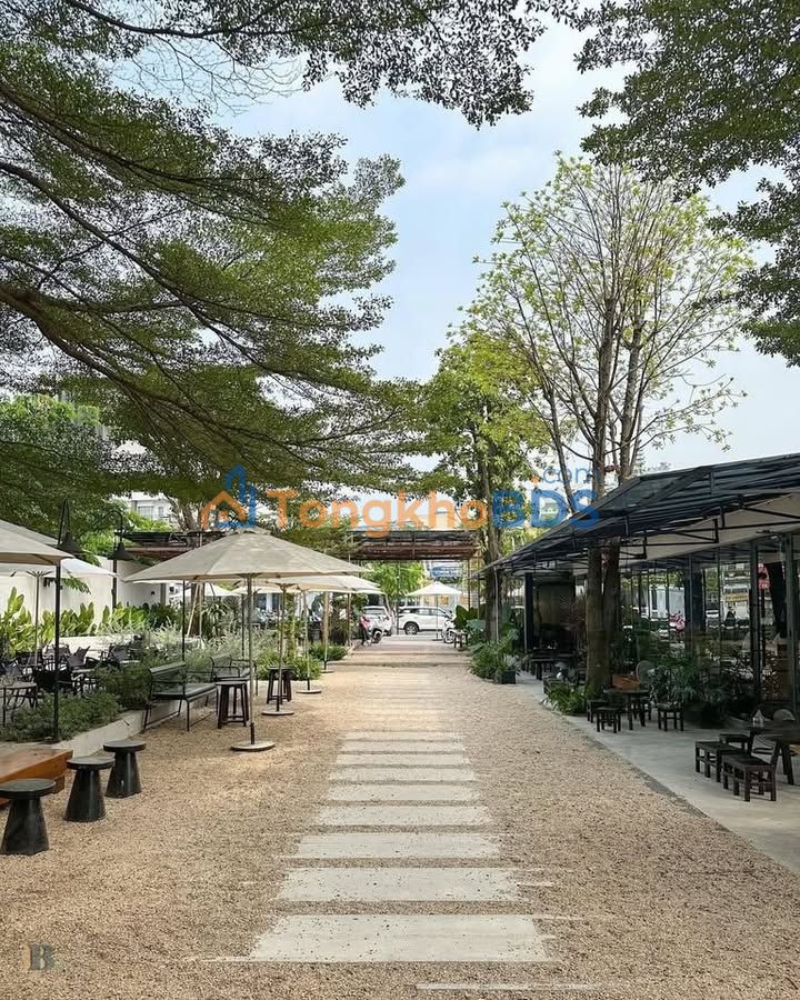 Đất Thảo Điền 1.050m² giá 130 triệu - Giá F0 CĐT