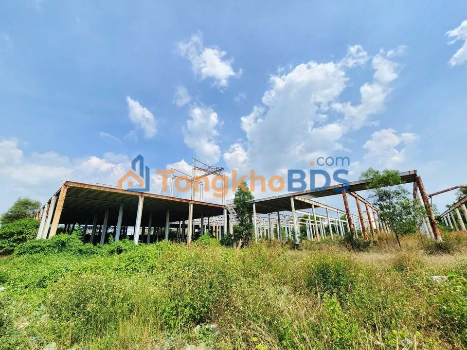 Kho xưởng Thủ Đức đối diện Vạn Phúc 12.000m² - Diện tích lớn