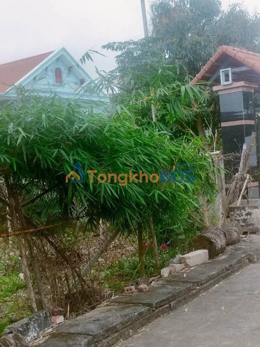 Đất nền Định Tân 162m² 400-499 triệu - Sổ đỏ chính chủ