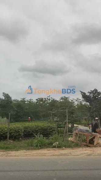 Đất Nền QL 217 Cẩm Tân - Thanh Hoá 150m² Giá Tốt Đầu Tư