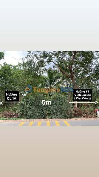 Đất nền QL217 Cẩm Thủy 80m² 0.8-0.9 tỷ - Sổ đỏ chính chủ