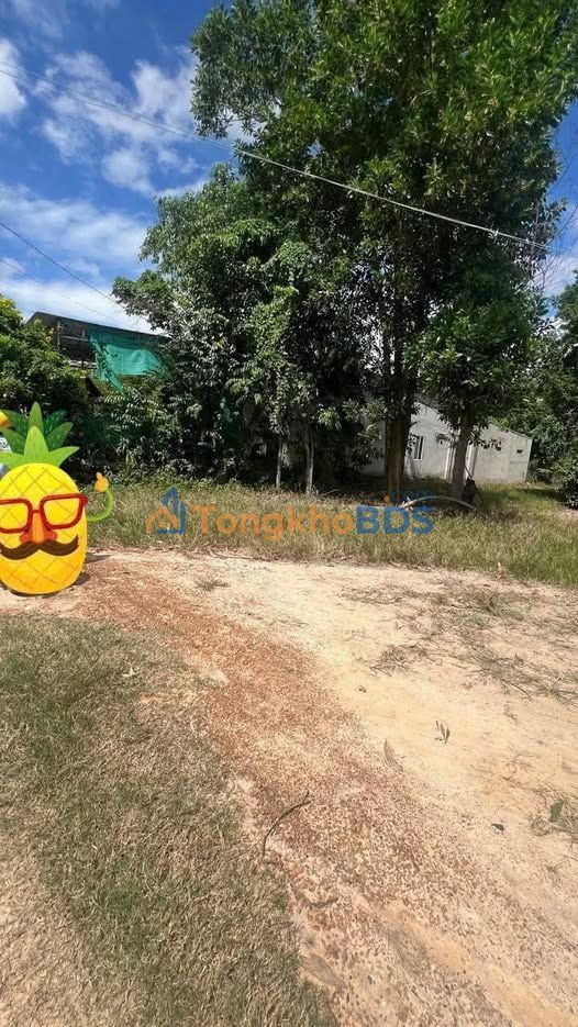 Đất Vàng Châu Thành, Tây Ninh – 325m² Thổ Cư, Giá 330 Triệu - Sổ Đỏ Sẵn Sàng