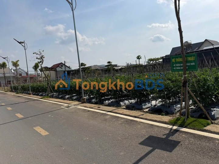 Đất nền Phú Hội, Đức Trọng 100m² - Sổ hồng sẵn, giá 1.3 tỷ