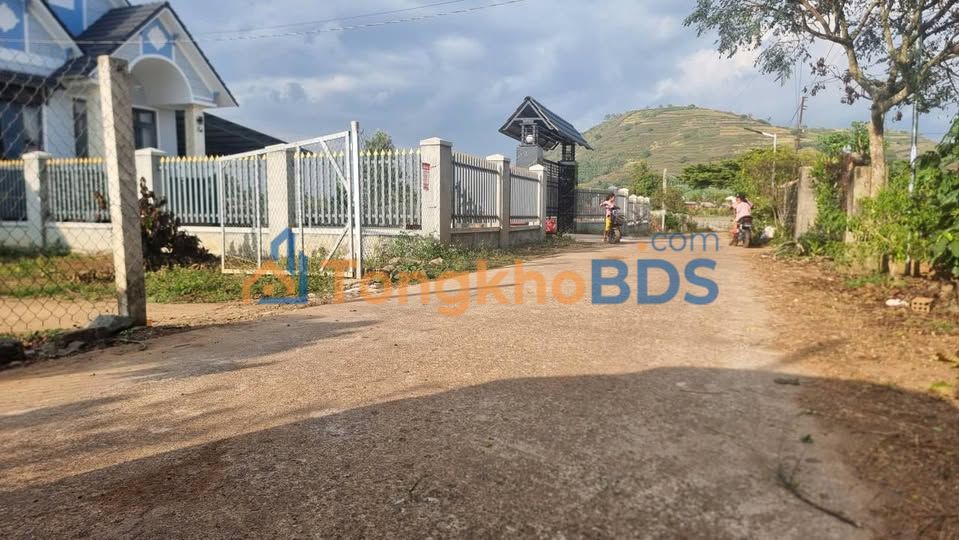 Đất nền Phú Hội, Đức Trọng: 100m² Sổ hồng sẵn, Giá đầu tư F0 chỉ 700 triệu