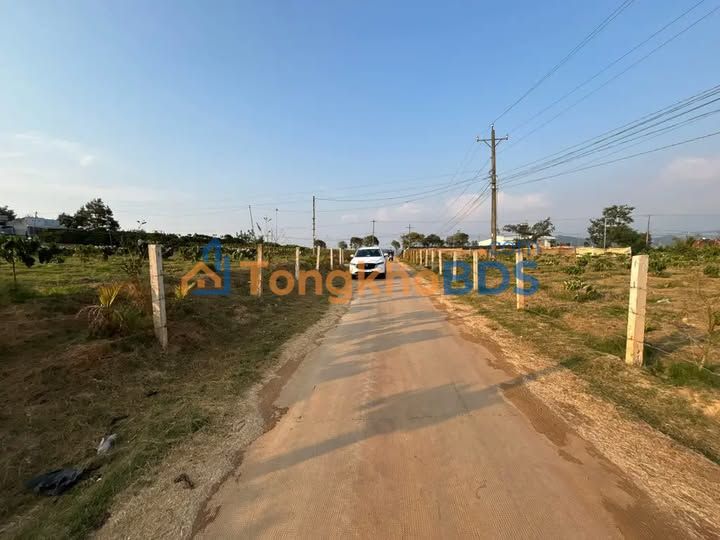 Đất Nền View Hồ Đại Ninh - Đức Trọng, Lâm Đồng (4000m²) - Đầu Tư Sinh Lời