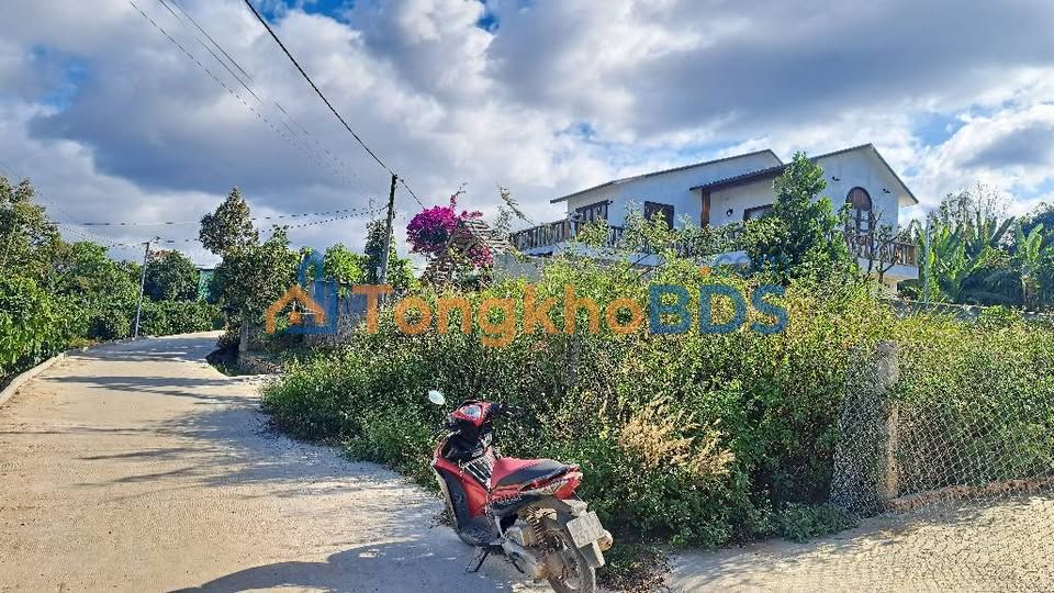 Đất Nền 10x25m Sổ Hồng Riêng - Đức Trọng, Lâm Đồng - Giá 1.05 Tỷ