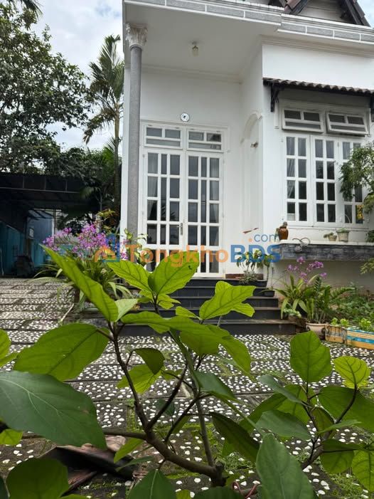 Bán Đất Vị Trí Đẹp Hẻm Nguyễn Trãi, Đức Trọng - 320m², 5 Tỷ