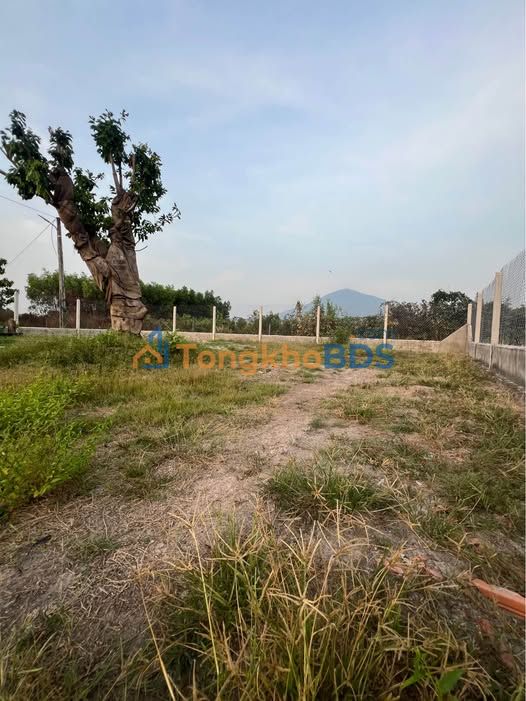 Đất nền Dương Minh Châu 433m² 1.1 tỷ - Sổ đỏ chính chủ