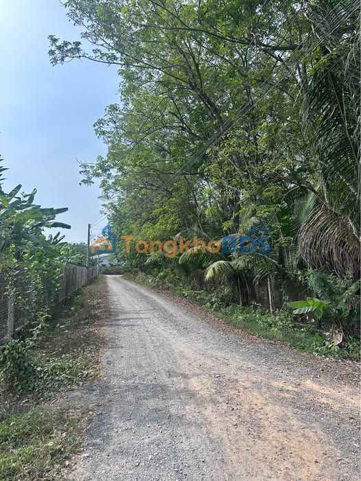 Đất An Điền An Bình 72m² 220 triệu - Sổ đỏ chính chủ