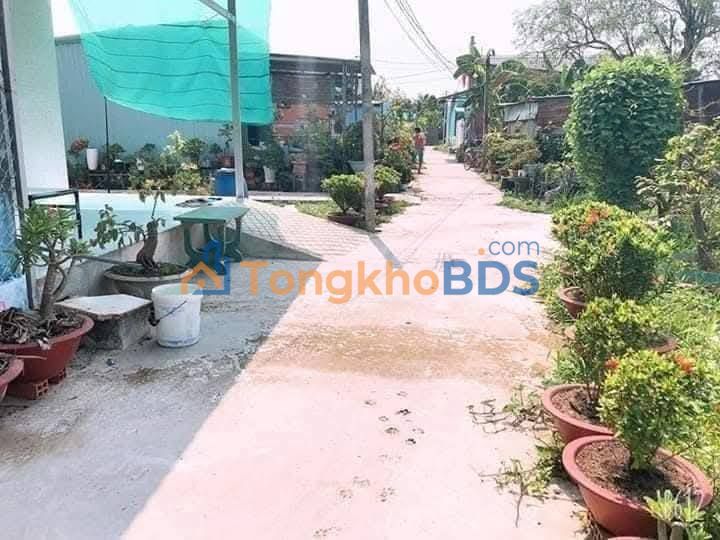 Đất phường Long An Tân An 128m² 630 triệu - Thổ cư 100%