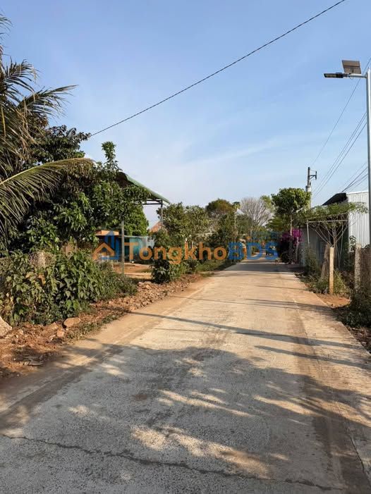 Đất Nền Đức Trọng 1650m² Sổ Đỏ - Gần Sân Bóng Nthonha, Giá 1.2 Tỷ