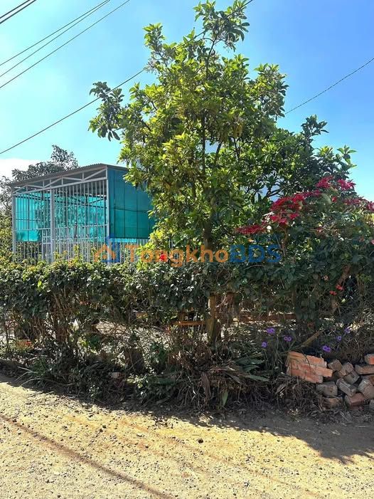 Đất nền Phú Hội Đức Trọng 619m² 5.9 tỷ - Sổ đỏ chính chủ