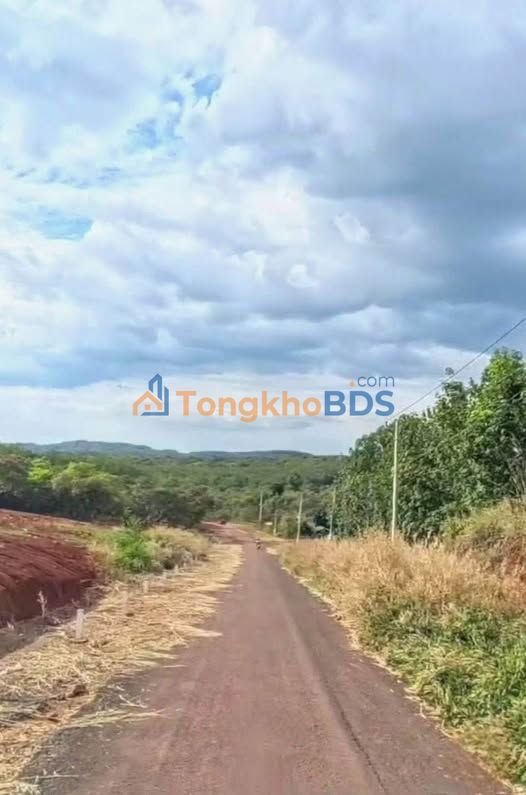 Đất nền Tân Phú Đồng Nai 6.400m² 6.8 tỷ - Đường to ô tô