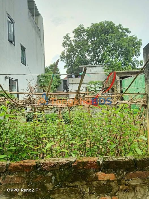 Đất nền Hòa Bình Tổ 1 50m² 750 triệu - Sổ đỏ chính chủ