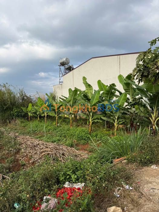 Đất nền Đức Trọng 72m² - Sổ hồng sẵn - Giá 1.39 tỷ