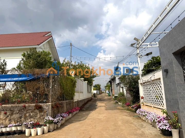 Đất Nền Đức Trọng 369m² - Sát Trung Tâm Hành Chính, Giá Gấp 4.3 Tỷ