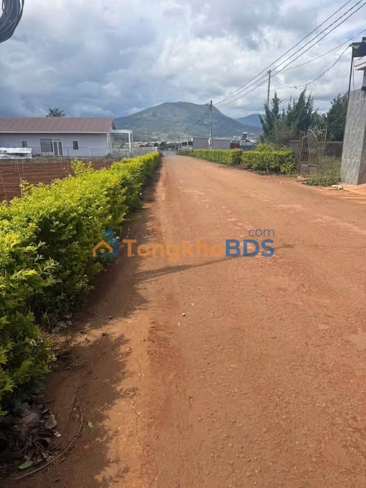 Bán Đất Đức Trọng 208m² Đường Nhựa Giá 1.35 Tỷ - Sổ Hồng Sẵn Sàng