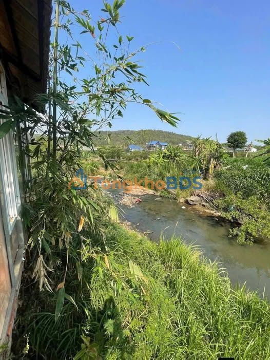 Đất Vườn Xã Hiệp Thạnh, Đức Trọng - 529m² View Sông, Giá 4.5 Tỷ