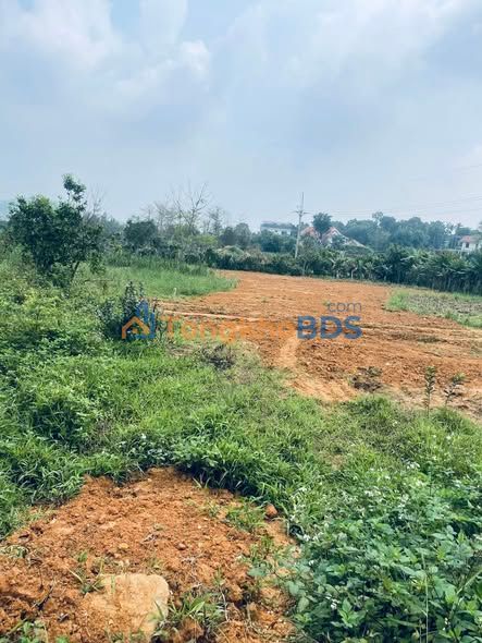 Đất nền Yên Bài Ba Vì 1845m² - Tiềm năng tăng giá