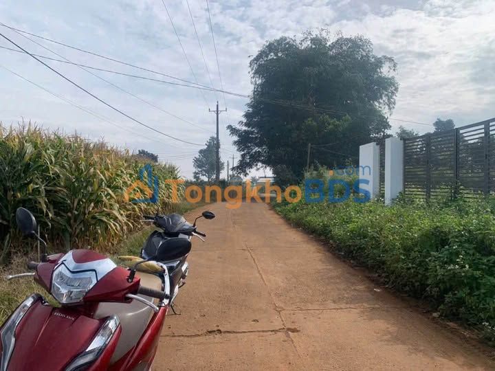 Đất Tân Hội Đức Trọng 203m² 750 triệu - Sổ đỏ chính chủ