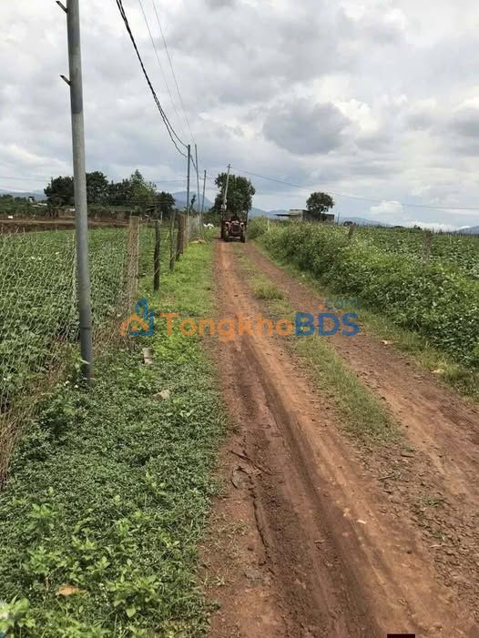 Đất nền Tân Hội Đức Trọng 11.000m² giá 21,39 tỷ - Sổ đỏ chính chủ