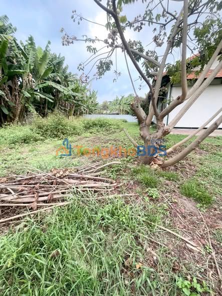 Nhà vườn Hóc Môn 1.500m² giá 10 triệu - Sẵn sàng ở ngay