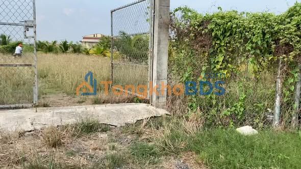 Đất vườn Phước Lợi Bến Lức 3.000m² 2 triệu - Sinh thái xanh