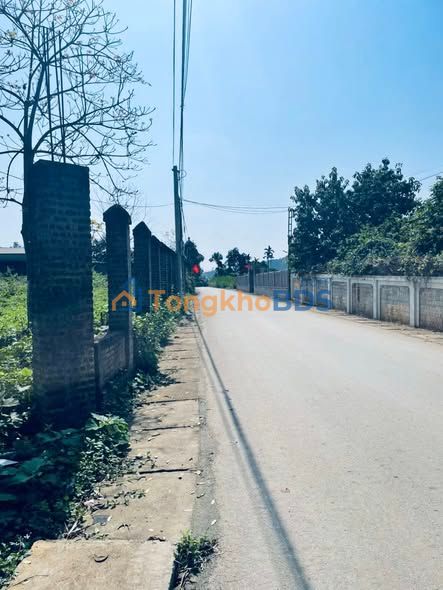 Đất nghỉ dưỡng Yên Bài Ba Vì 3300m² 3.3 tỷ - Sổ đỏ chính chủ