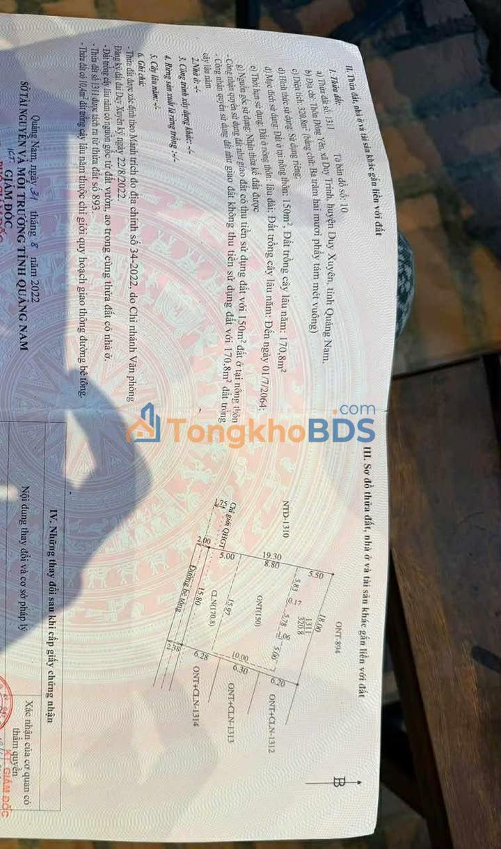 Đất Xóm Đông Yên Duy Trinh 304m² 480 triệu - Đường to ô tô