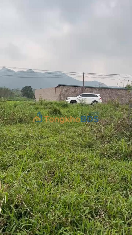 Đất nền Yên Bài Ba Vì 2300m² giá thỏa thuận - Tiềm năng tăng