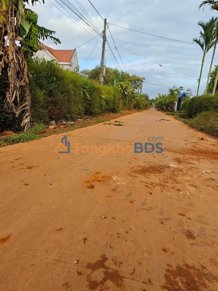 Đất nền Đường số 3 Phước An 344m² 34.4 tỷ - Đường to ô tô