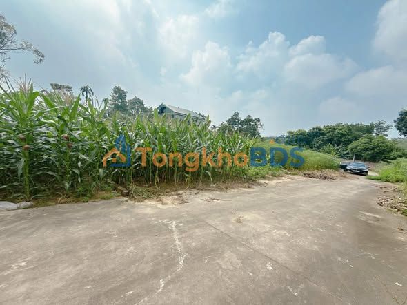 Bán đất Phường Phong Châu, Phú Thọ - 100m² - Lộ giới 5m ô tô