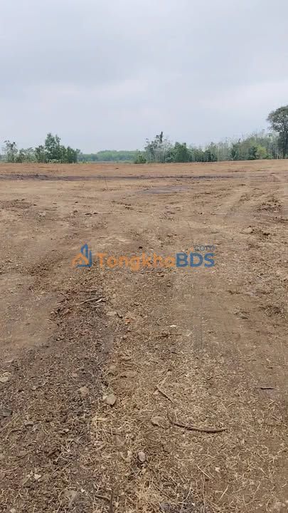 Đất nền Xuân Trường 21.020m² 19.444 tỷ - Sổ đỏ chính chủ