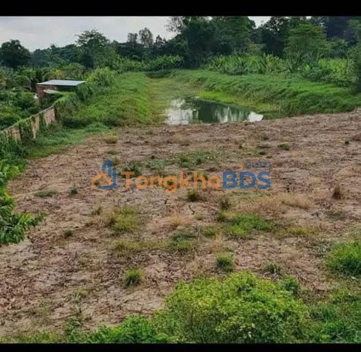 Đất Vĩnh Trạch An Giang 6069m² – Sổ đỏ chính chủ, lộ nhựa