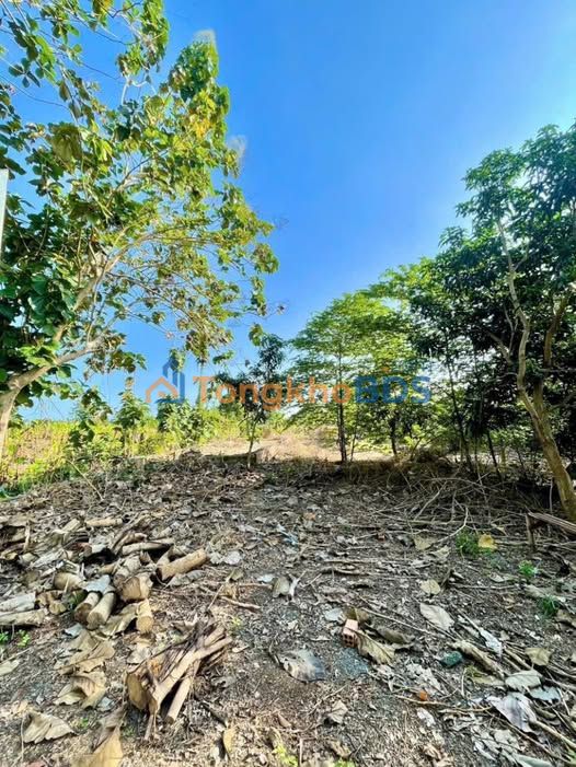 Đất nền Cây Gáo cũ Cẩm Mỹ 360m² 2.35 tỷ - Đường to ô tô