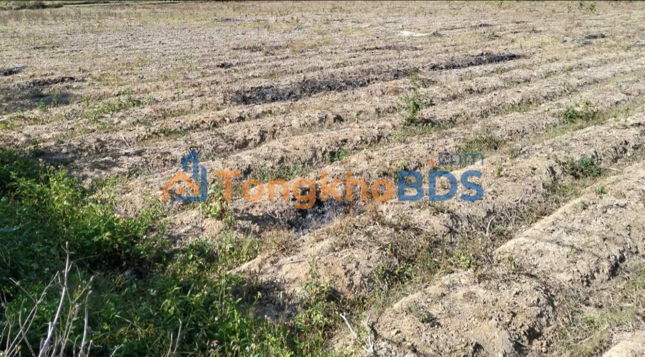 Đất sào D'Ran 1.152m² 1.216 tỷ - Sổ đỏ chính chủ