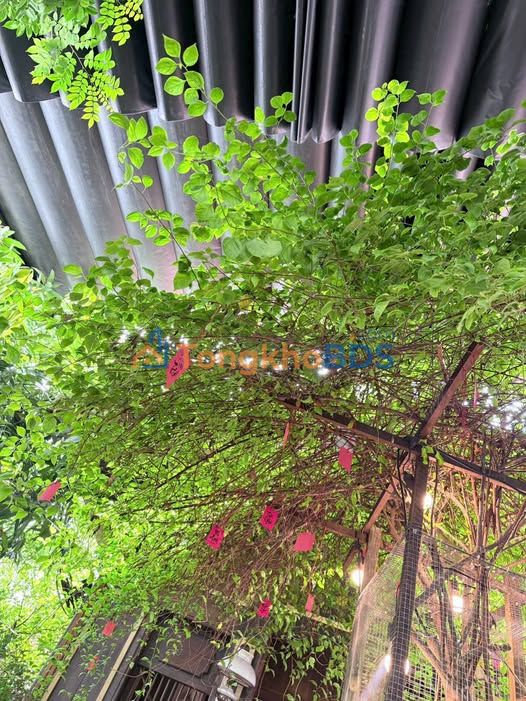 Văn phòng Lê Đức Thọ Quận 12 56 triệu - Sẵn sàng làm việc