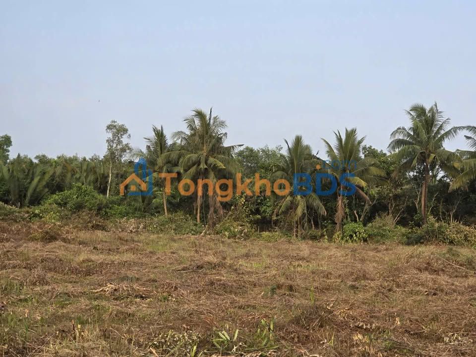 Đất Long Phước TP Thủ Đức 6.778m² 169.45 tỷ - Giá tốt hiếm có