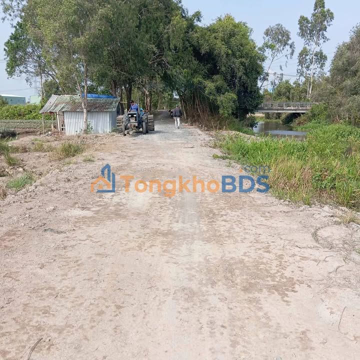 Đất Tân Phước 3 Đồng Tháp 205m² 300tr - Sổ đỏ chính chủ