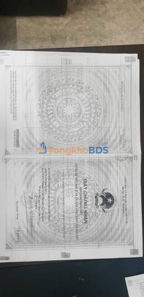 Đất nền Mỹ An Thủ Thừa 1.412m² 25 tỷ - Sổ đỏ chính chủ